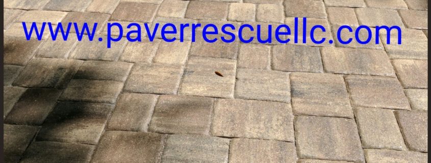 how to fix sunken pavers lutz fl