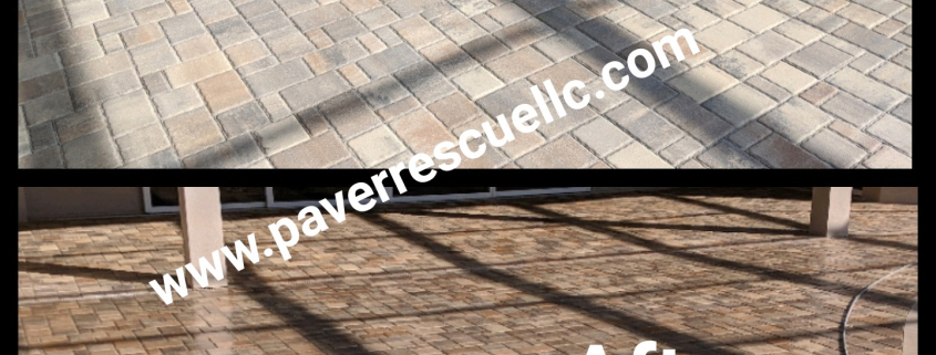 Before and after paver restoration on a Florida pool deck, showing renewed color and sealed surface — Land O Lakes paver restoration
