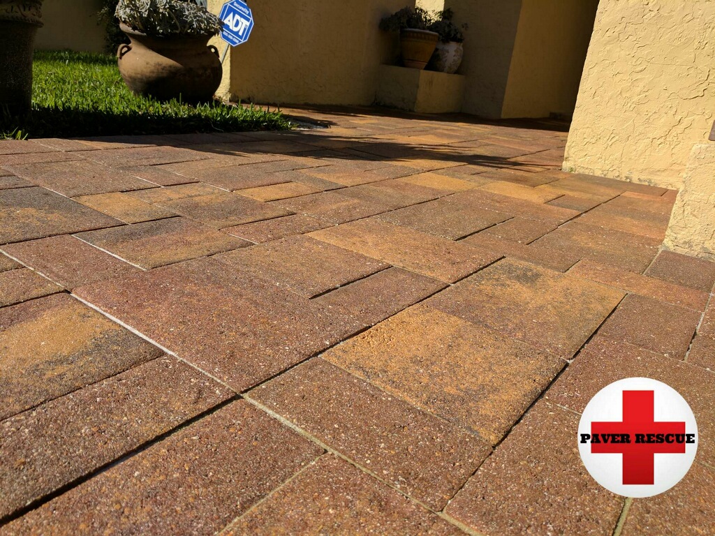 Close-up of paver joints on a Tampa FL patio showing sand erosion and gaps between pavers needing stabilization