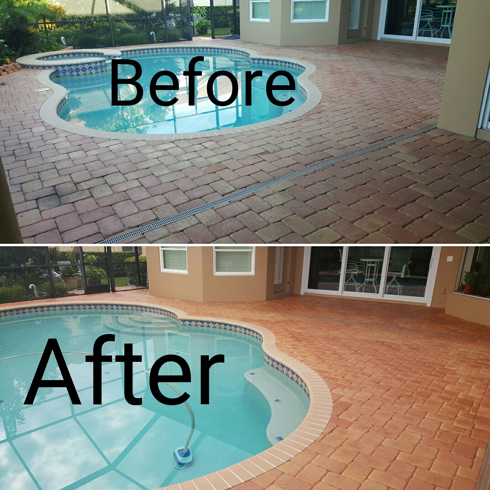Before and after pool deck paver restoration in Lutz FL, showing dramatically refreshed color and sealed surface beside a residential pool.